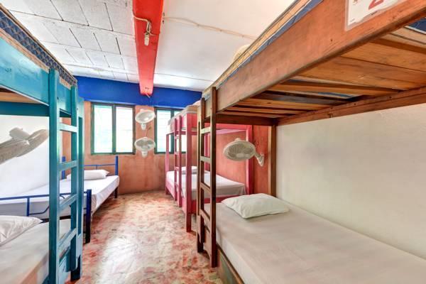 Hostel Playa Плая-дель-Кармен Номер фото